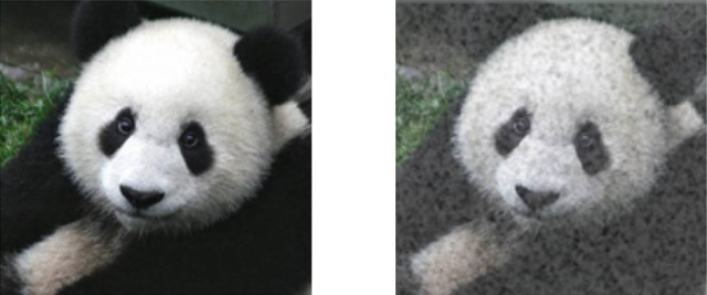 판다곰 사진